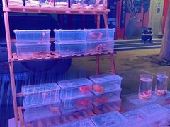 -华声天桥民俗文化园