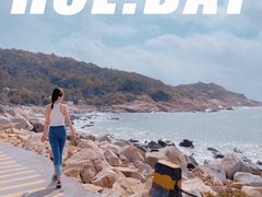 -广东惠东海龟国家级自然保护区
