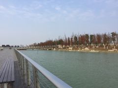 -滆湖低碳生态公园