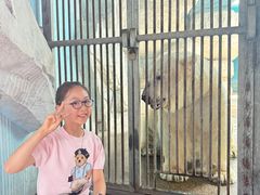 -泉城欧乐堡海洋极地世界