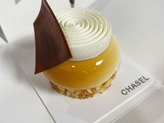 -夏佐CHASEL(横店康庄路店)