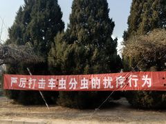 -京北车辆管理所-停车场