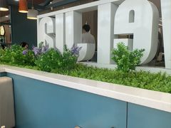 -魏家凉皮(南楼店)