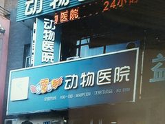 -瑞派宠物医院·24h·骨外科·皮肤科·全科宠物医疗转诊中心(沈阳浑南院)
