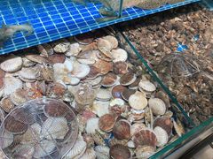 -港畔赶海蒸汽海鲜烧烤自助(仙螺岛店)