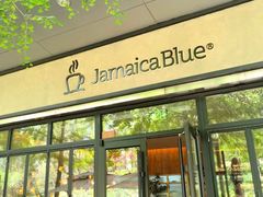 -JamaicaBlue(新城国际店)