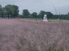 -汉长安城未央宫国家考古遗址公园