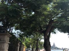 -大胖沙茶面(石鼓路店)