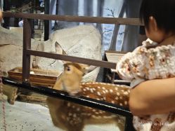 -酷嗒动物文化乐园(cutezoo西溪乐天城店)