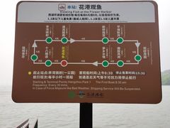 -西湖外事游船(花港观鱼码头)