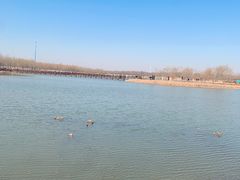 -西青郊野公园