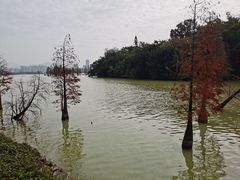 -星湖旅游景区七星岩