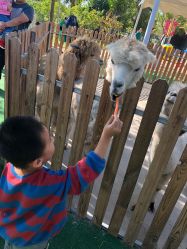 -萌宠亲子动物乐园(槐房万达店)