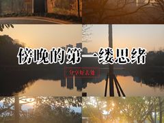 -重庆彩云湖湿地公园