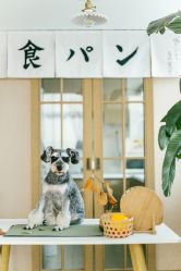 -ZOO KIDS象集摄影工作室(西城公馆店)