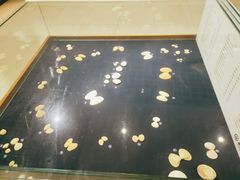 -青岛贝壳博物馆