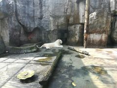 -南昌动物园