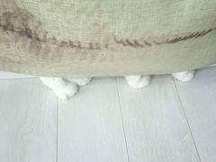 -喵的天空名猫咖啡馆·撸猫·猫舍·用品