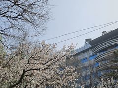 -皇城根遗址公园-东安门遗址