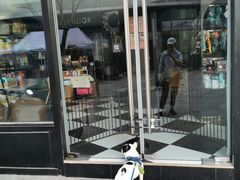 -Oh My Dog宠物沙龙(伊珊娜皮毛护理店)