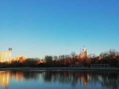 -莲花池公园
