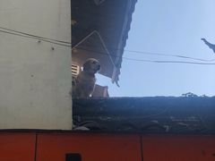 -绿杨馄饨临顿路店