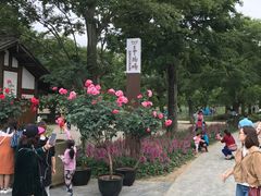 -秀丽东方