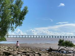 -宝安西湾红树林湿地公园