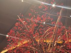 -三利音·东方司宴(外滩店)