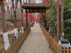 -草根堂农场