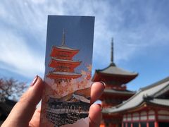 -有栖山 清光院 清水寺