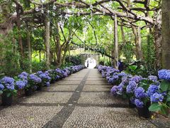 -广西壮族自治区药用植物园