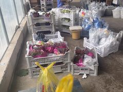 -马陆小张葡萄园农家乐