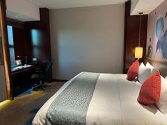 -常州环球恐龙城维景国际大酒店