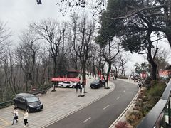 -茶颜悦色(岳麓山顶店)