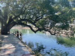 -鹿亭中村
