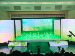 -陕西省小天鹅艺术团