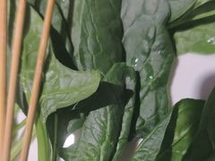 -佰人王串串香火锅(洋珠巷店)