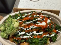 -油梨树 AVOCADO TREE(亮马桥店)