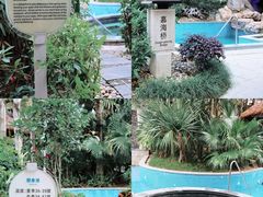 -惠州金海湾嘉华度假酒店