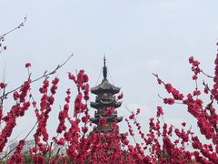 -上海市龙华烈士陵园