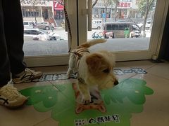 -艾贝尔宠物医院 ·中兽医·宠保定点(北门桥店)