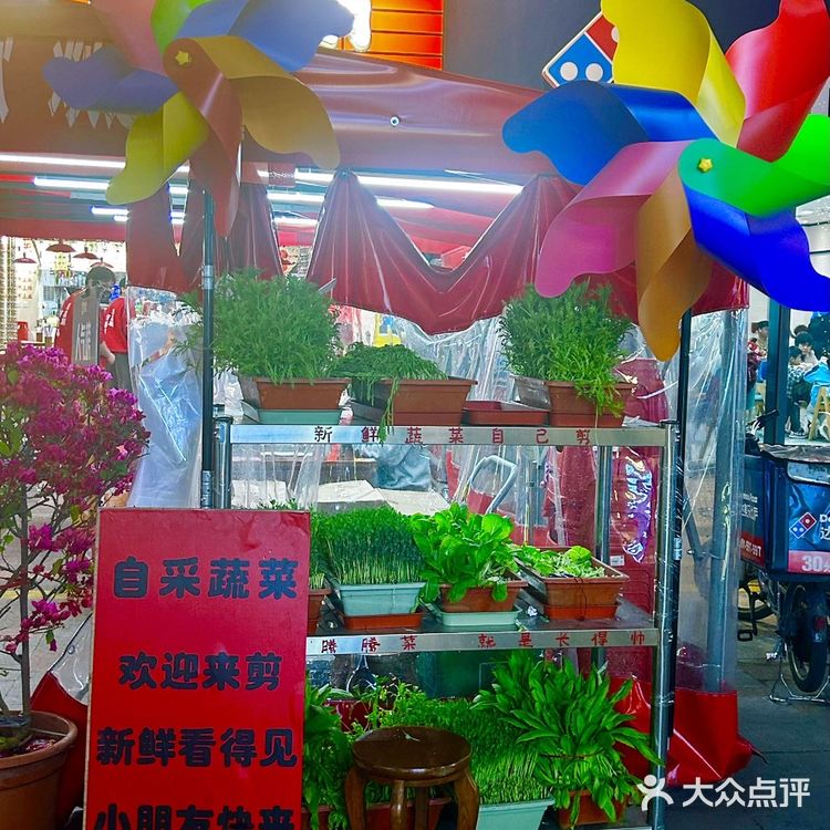 这才是杭州火锅该有的样子‼️把春天吃进嘴巴里......