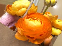 -天幕新彩云国际影城(激光巨幕店)