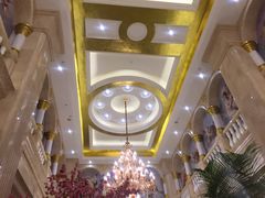-维也纳国际酒店（上海旅游度假区浦东机场店）-停车点