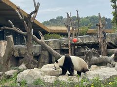 -宁波野生动物园