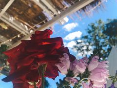 -安德鲁户外烧烤帐篷营地(马泉营店)