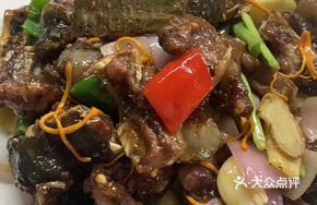 Pan-fried and Baked Fresh Softshell Turtle