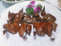 脆皮乳鸽-席家花园(巨鹿花园店)