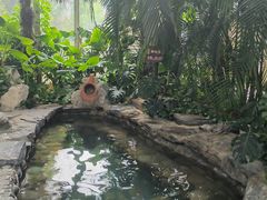 -中家鑫园温泉酒店鑫悦汤泉